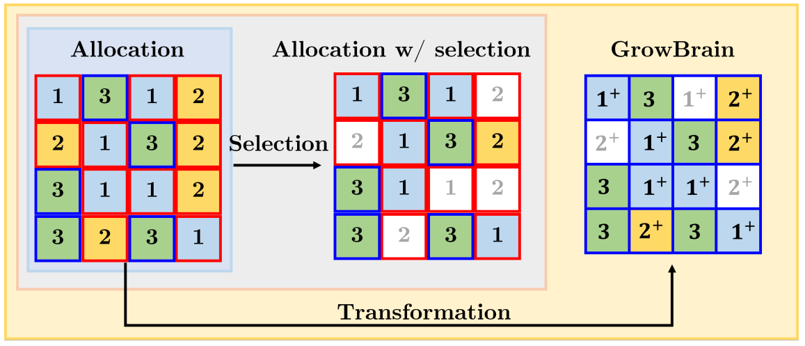 GrowBrain method overview